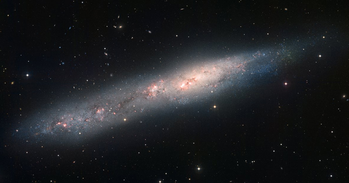 la galassia NGC 55