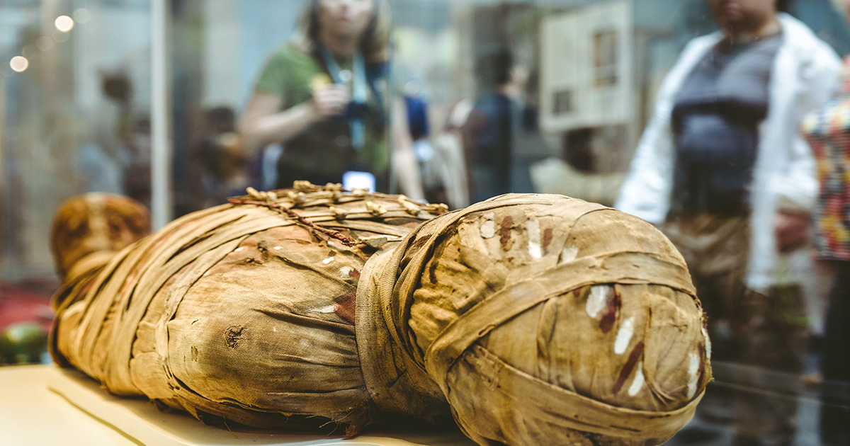 mummia in esposizione