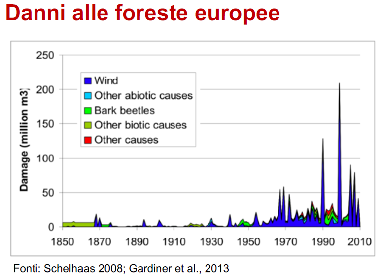 danni foreste europee