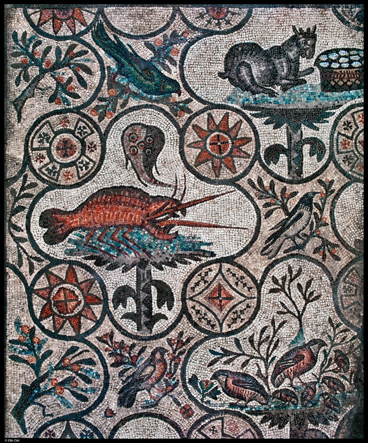 Aragosta e razza nel mosaico dell’aula teodoriana nord ©Elio Ciol