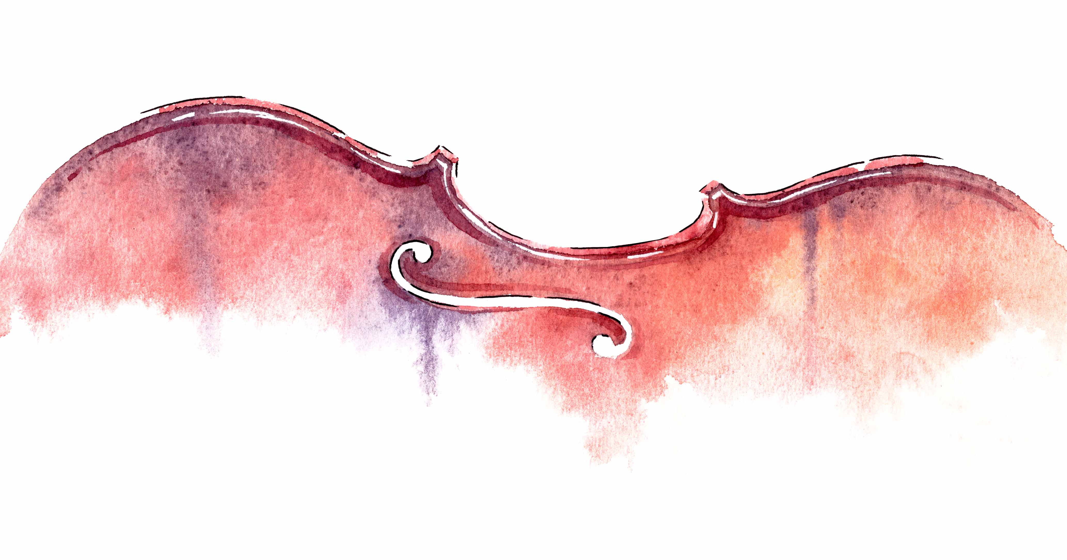 violino acquerello