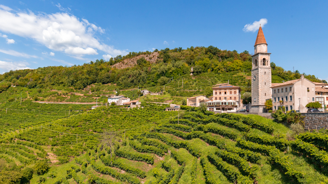 Colline Del Prosecco Patrimonio Unesco: Da Vino Povero A Marchio ...