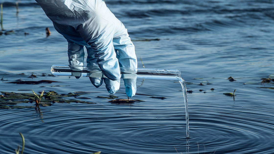 Pfas, Cosa Sono E Qual è Lo Stato Della Ricerca | Il Bo Live UniPD