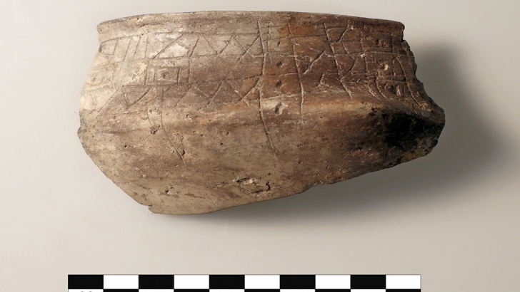 Terramara di Pilastri (Bondeno, FE). Tracce dei biomarkers del vino sono state rinvenute in frammenti di vaso come questo, destinati al consumo della bevanda (circa 1400-1300 a.C.)