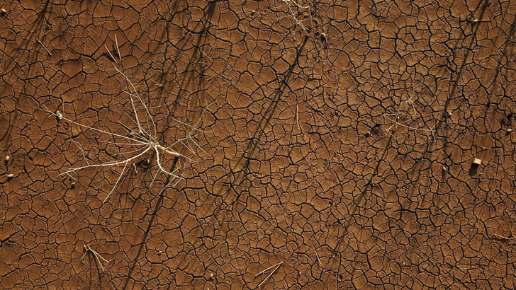 Un terreno reso arido dalla siccità nel sud del Brasile. Foto: Reuters