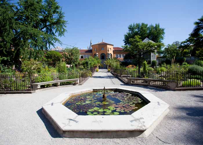 orto botanico di Padova