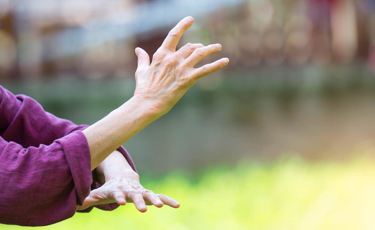 mani tai chi