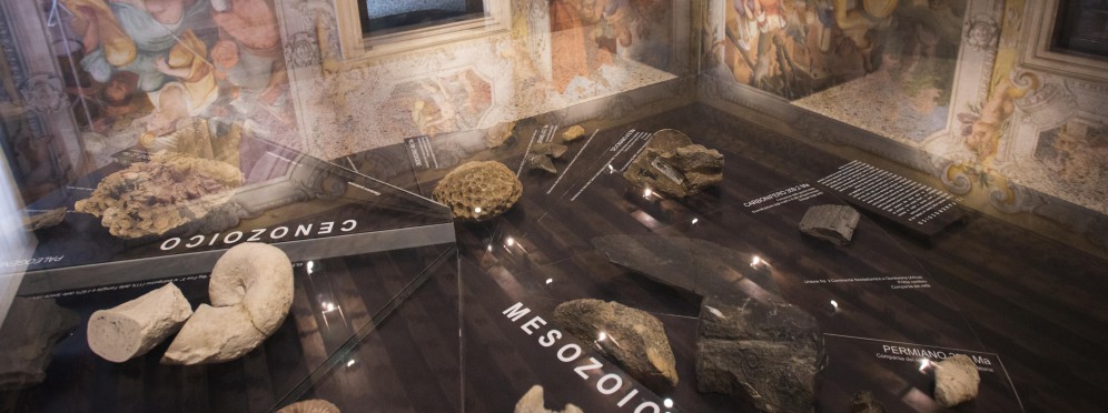 tavolo del museo