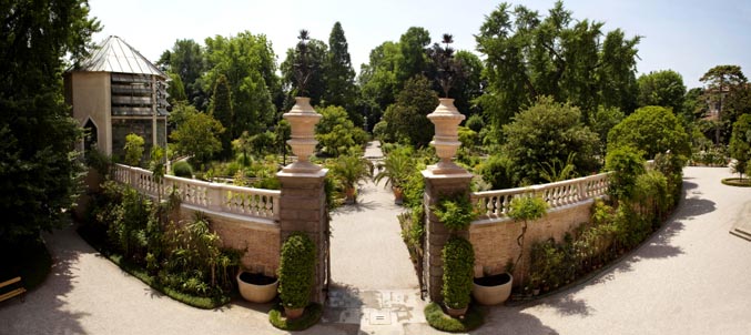 orto botanico antico padova