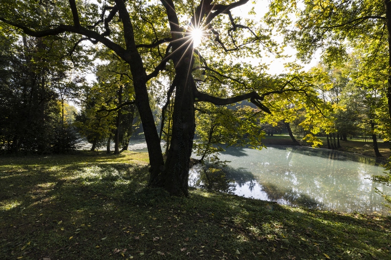 parco della Villa Revedin Bolasco