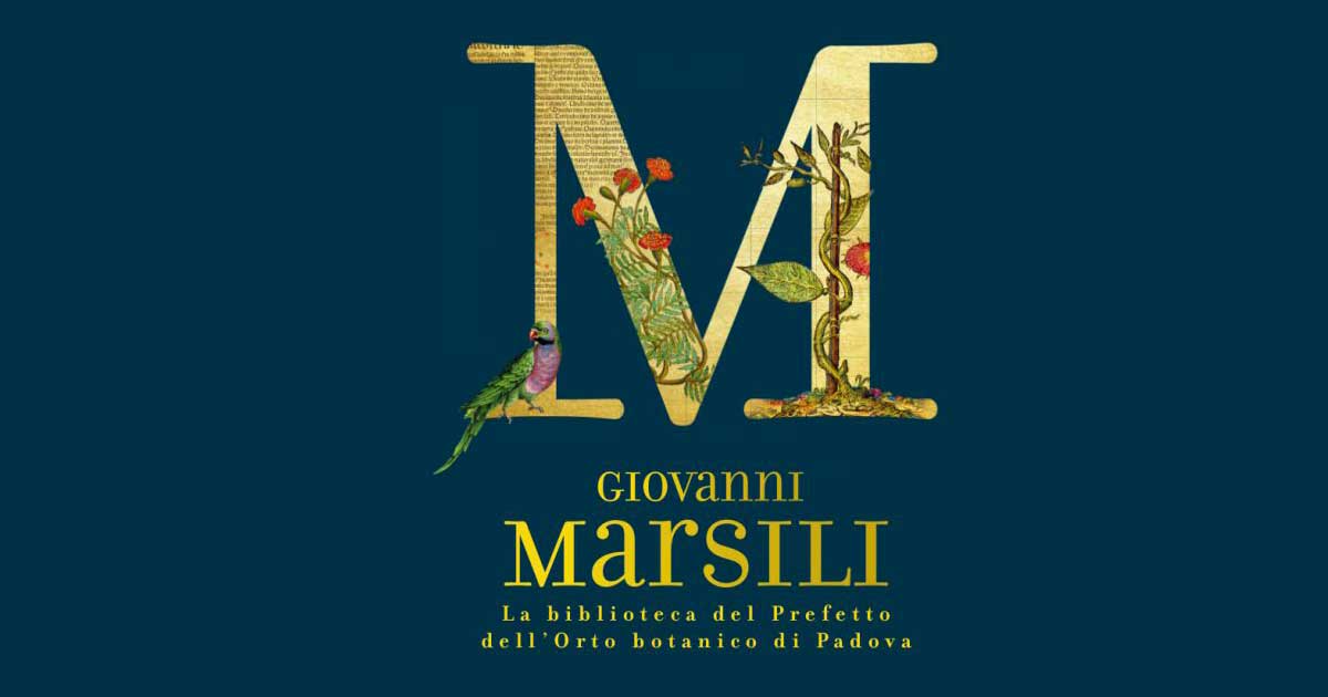 M giovanni marsili