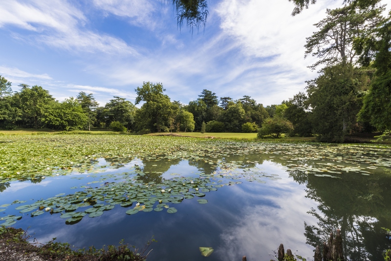 parco della Villa Revedin Bolasco