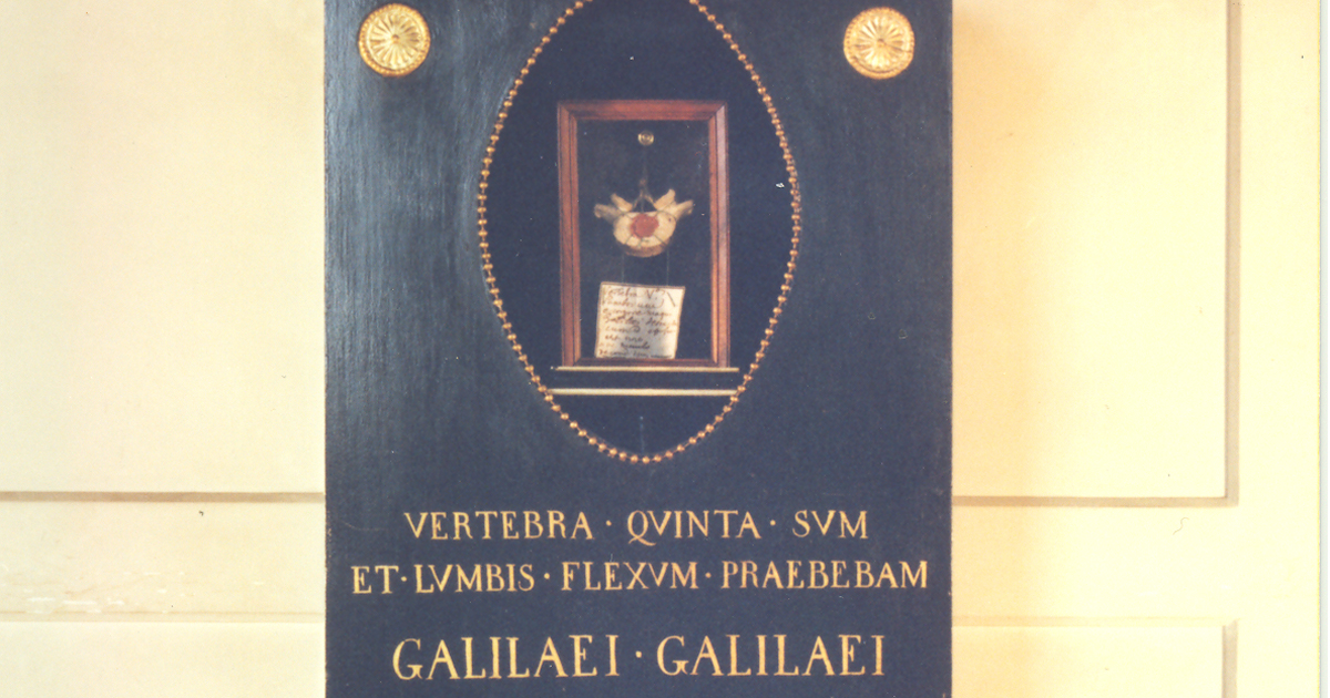 Vertebra Galileo 3