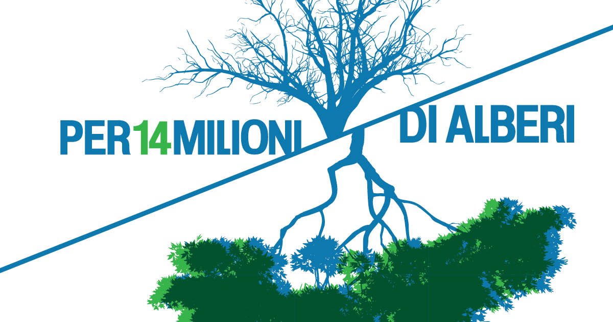 Per 14 milioni di alberi