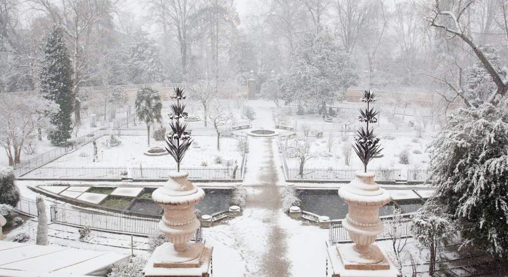 Natale all'Orto botanico Orto botanico con neve