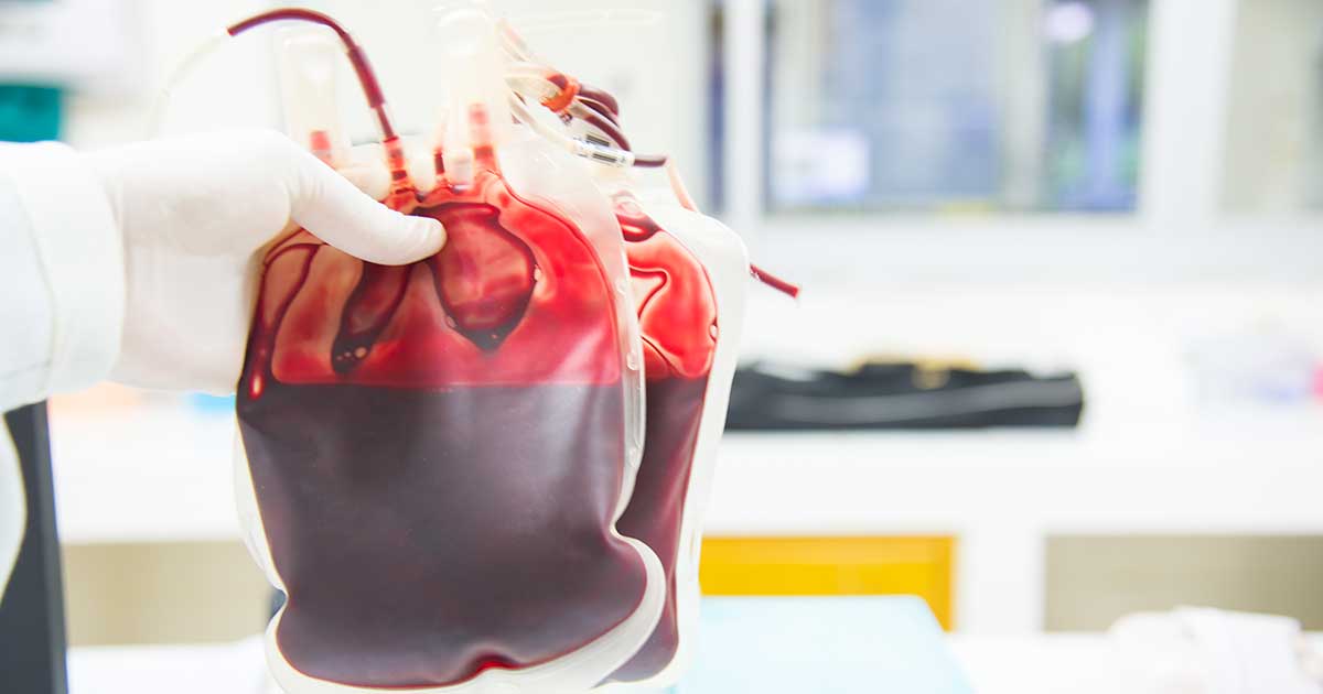 sacche di sangue
