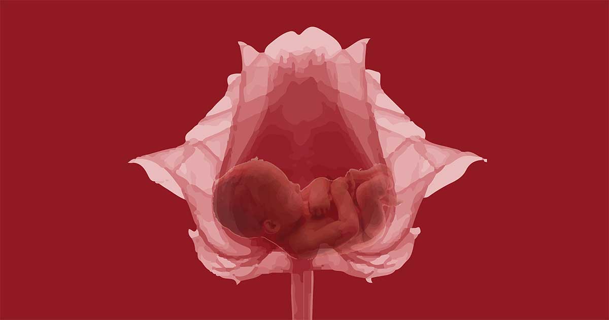 bimbo in un fiore