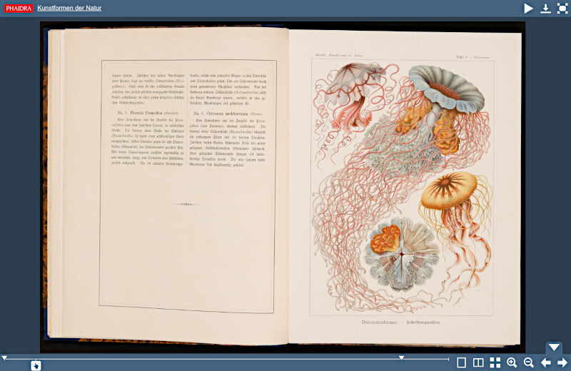 libro digitalizzato