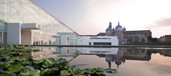 orto botanico unipd