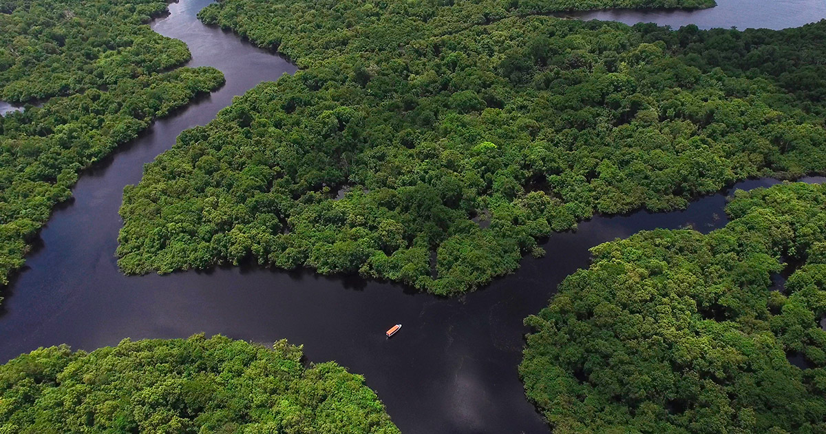 amazzonia