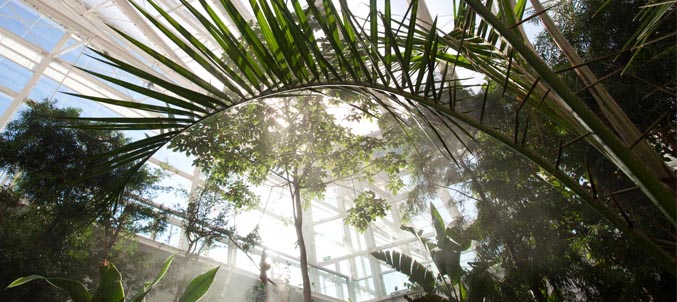 orto botanico