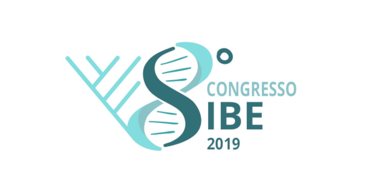 logo sibe