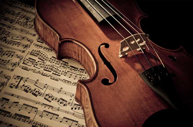 violino