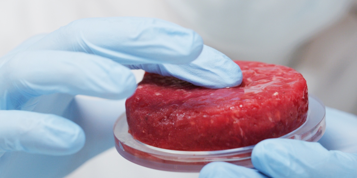 carne prodotta in laboratorio