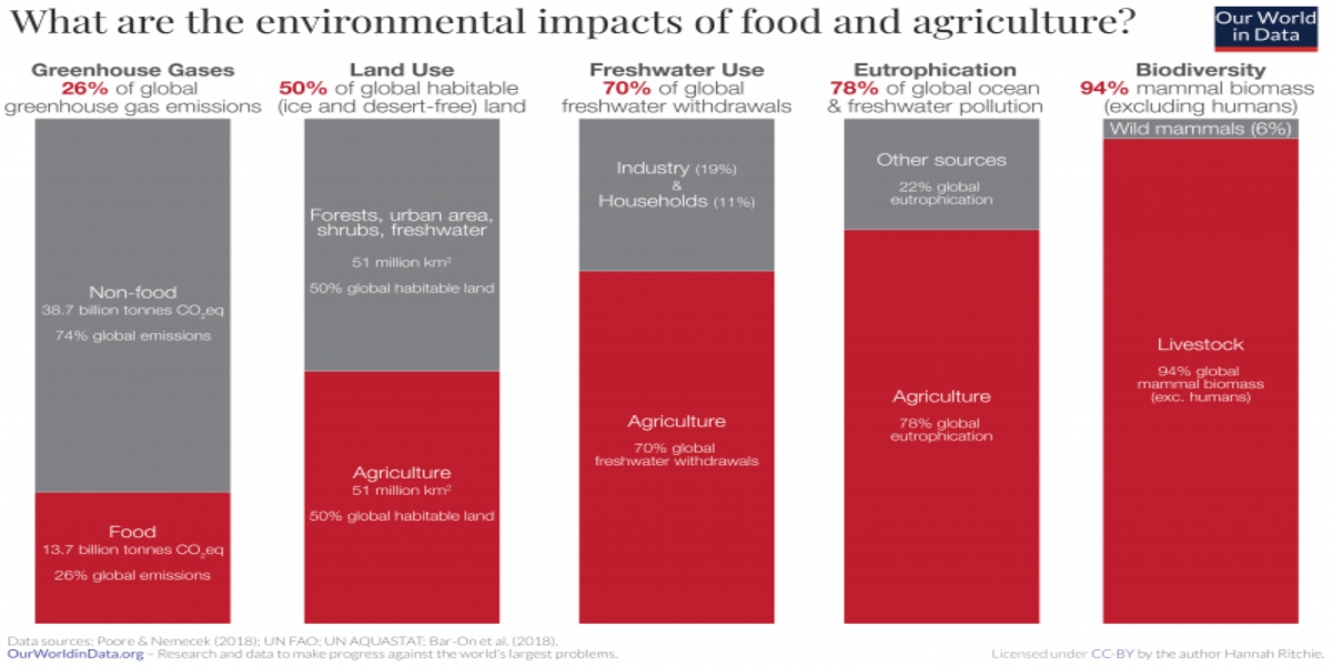 grafico impatto ambientale di cibo e agricoltura