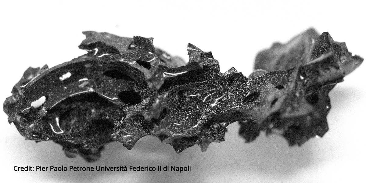  Frammento di materiale nero vetroso estratto dalla cavità cranica di una vittima dell'eruzione vulcanica a Ercolano