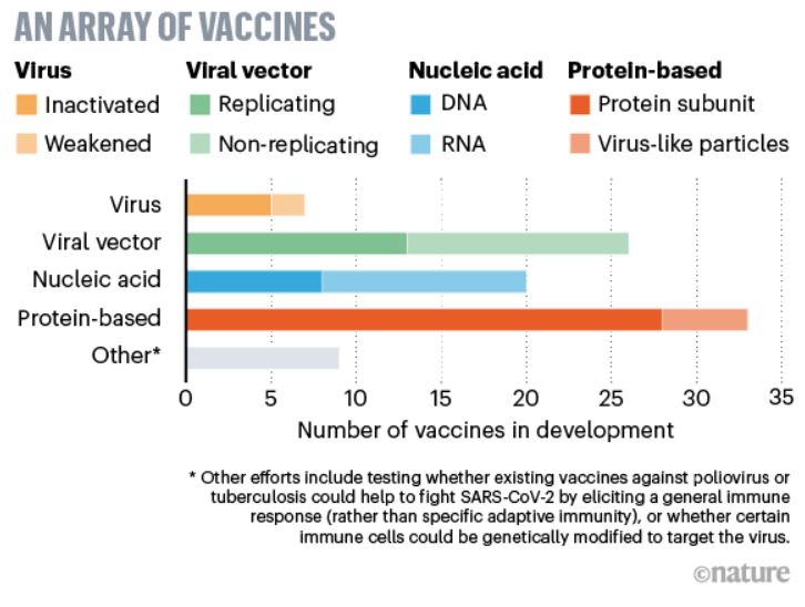 Il punto sulla corsa al vaccino contro Sars-CoV-2 (Covid19) Nature_vaccini_30_aprile