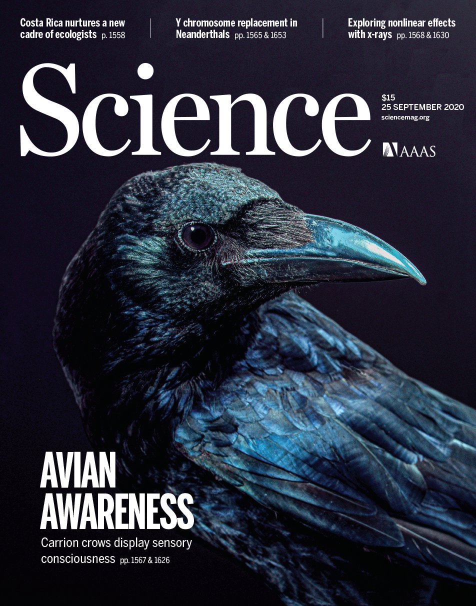copertina di science