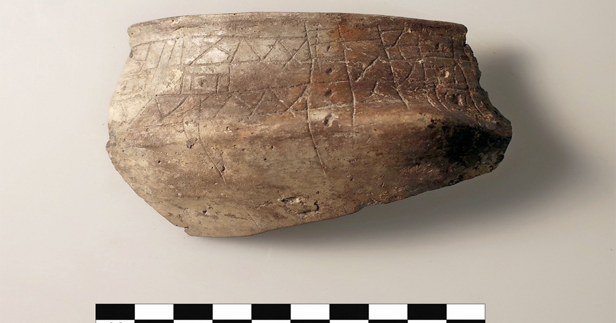 Terramara di Pilastri (Bondeno, FE). Tracce dei biomarkers del vino sono state rinvenute in frammenti di vaso come questo, destinati al consumo della bevanda (circa 1400-1300 a.C.)