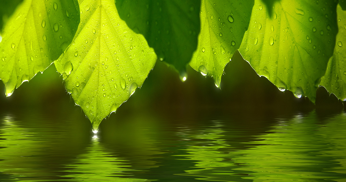 natura
