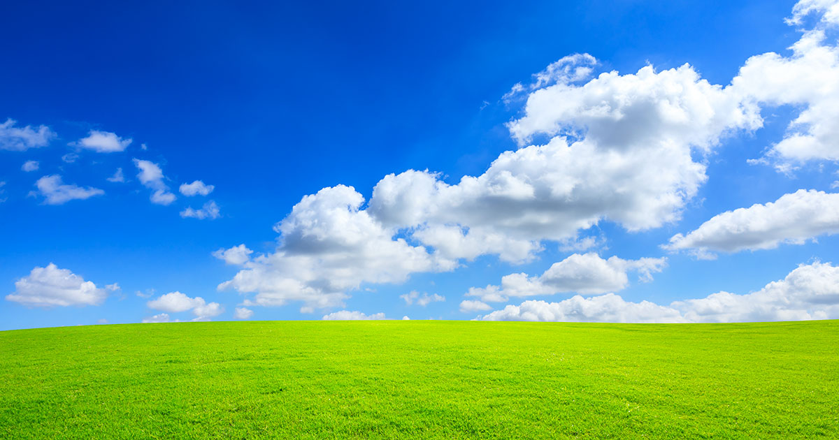 cielo e erba
