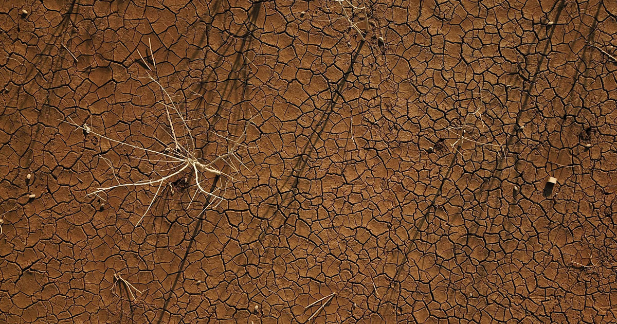 Un terreno reso arido dalla siccità nel sud del Brasile. Foto: Reuters