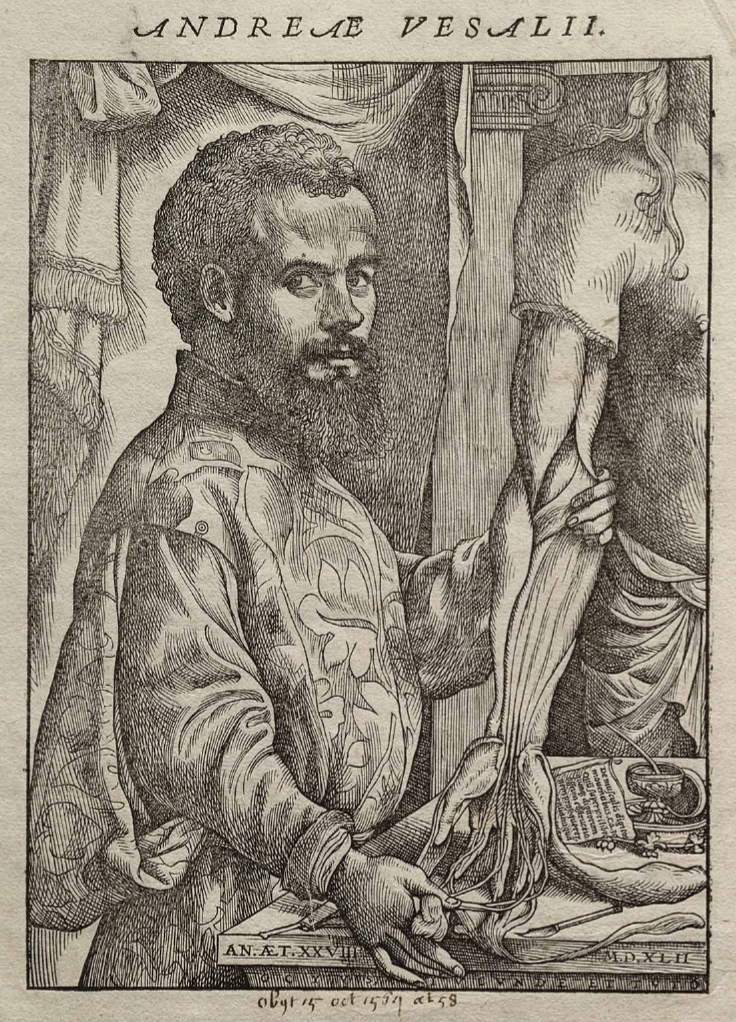 Vesalio, stampa dal De humani corporis fabrica - Public Domain Wikimedia Commons