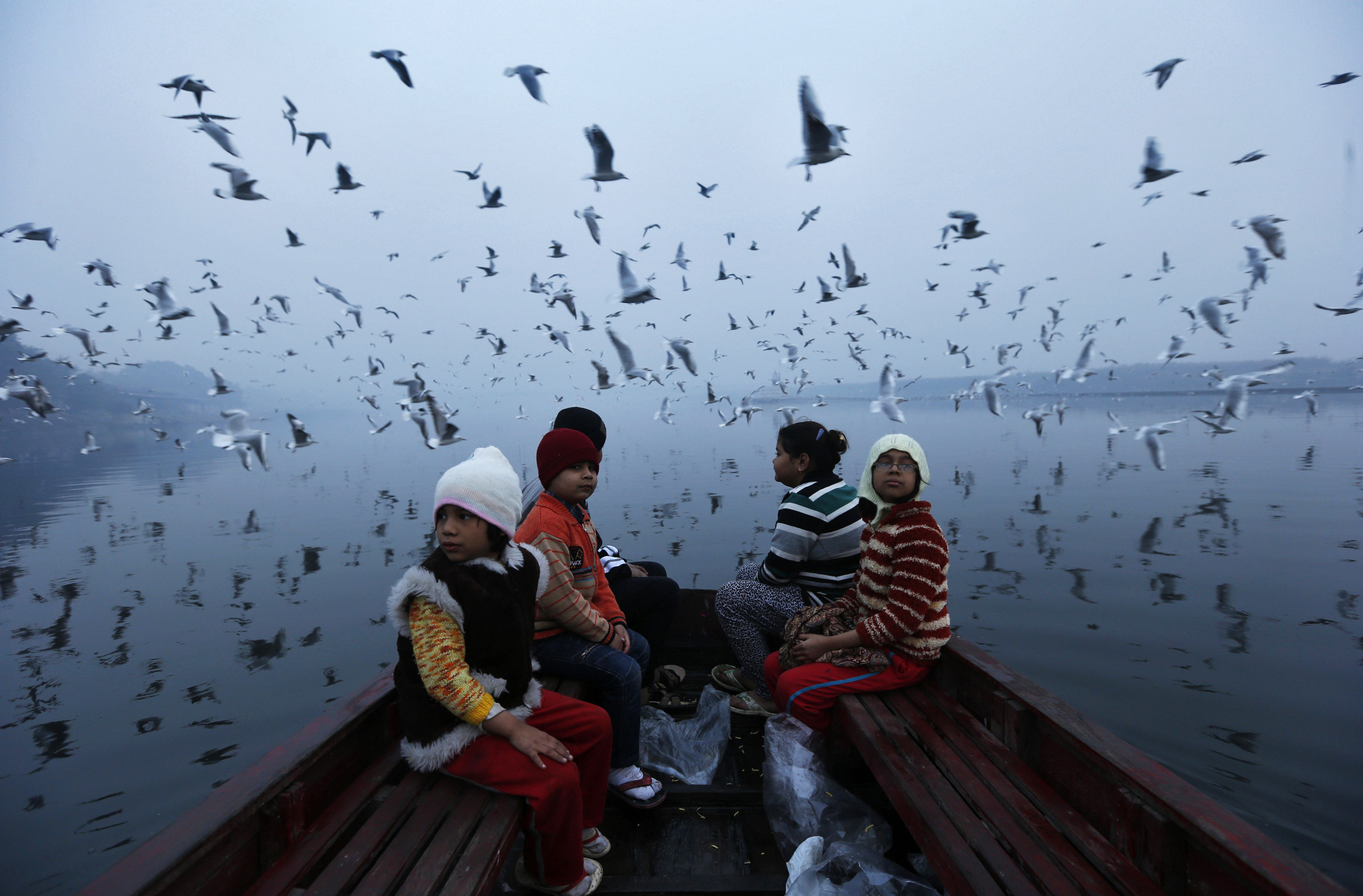 Uccelli migratori volano sopra bimbi in barca, Delhi, India. 