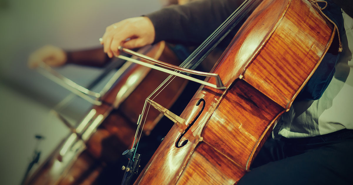 violoncello