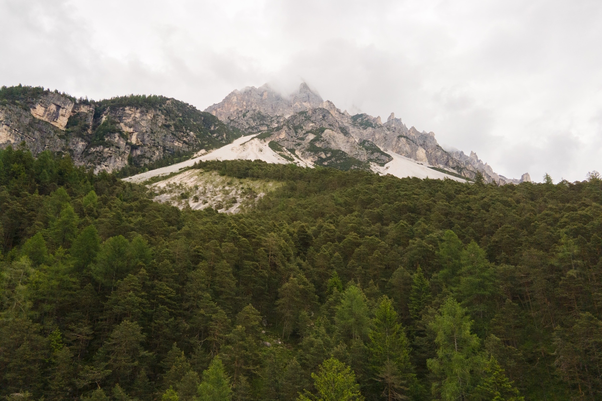 Dolomiti, foreste. Foto: Massimo Pistore