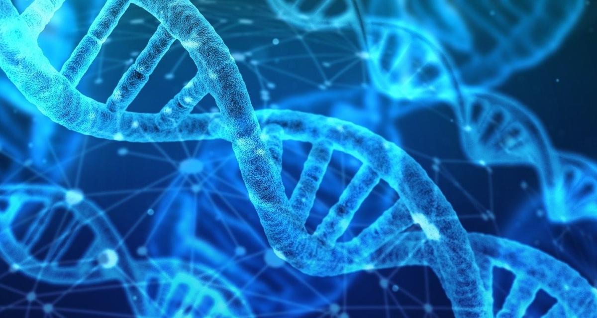 dna catena