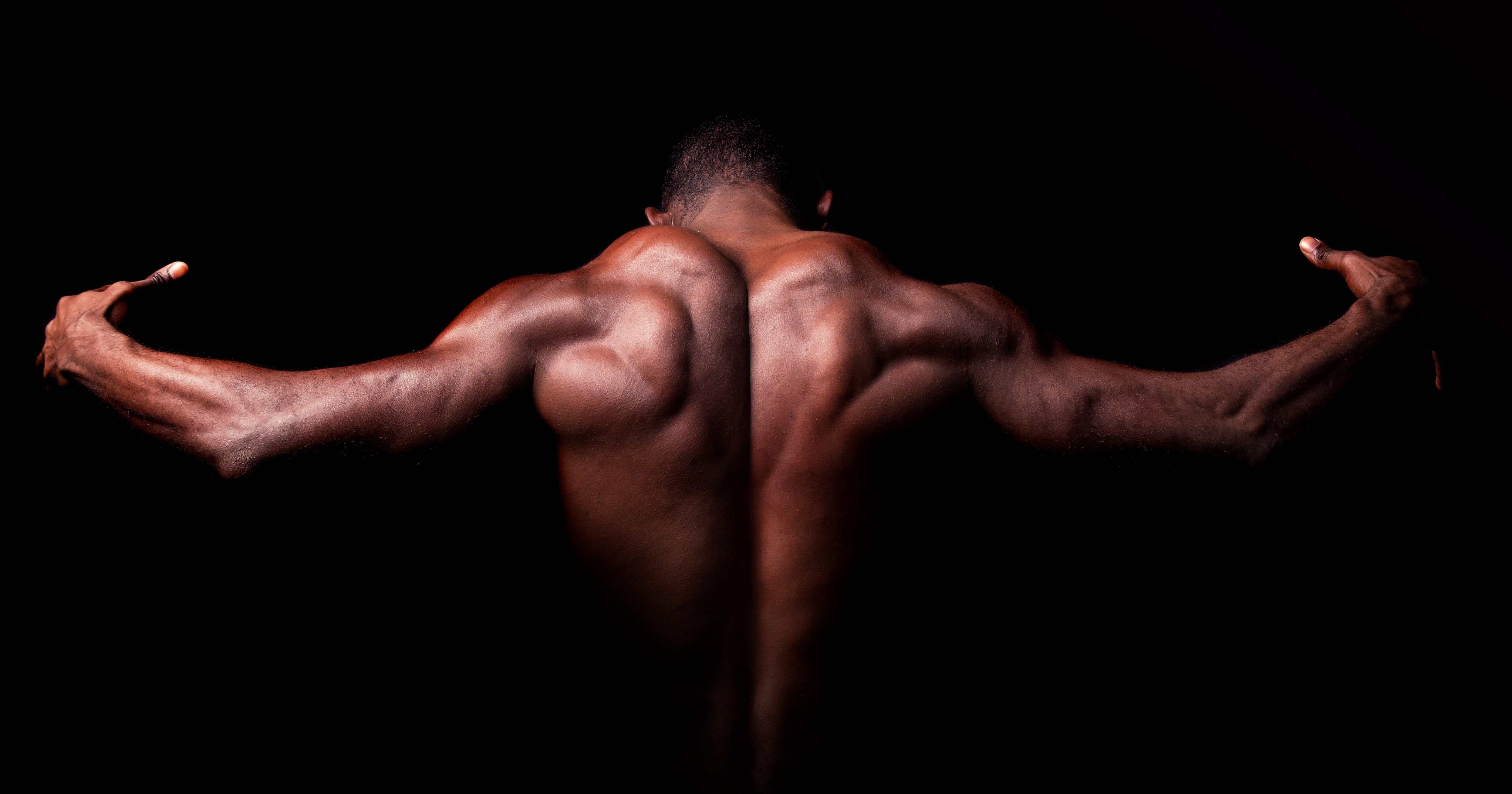 Bodybuilding Bodybuilding