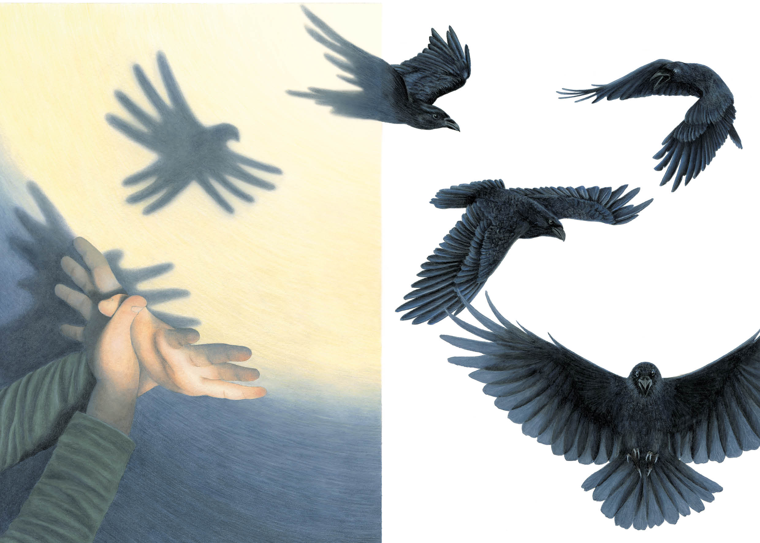 "Di cosa hai paura?" di Carola Susani, illustrazioni di Virginia Clericetti (Orecchio Acerbo)