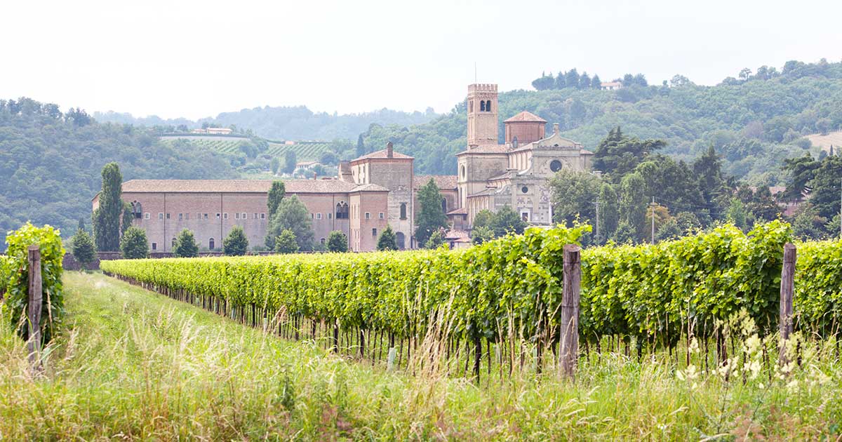 vigne con abbazia di praglia sullo sfondo