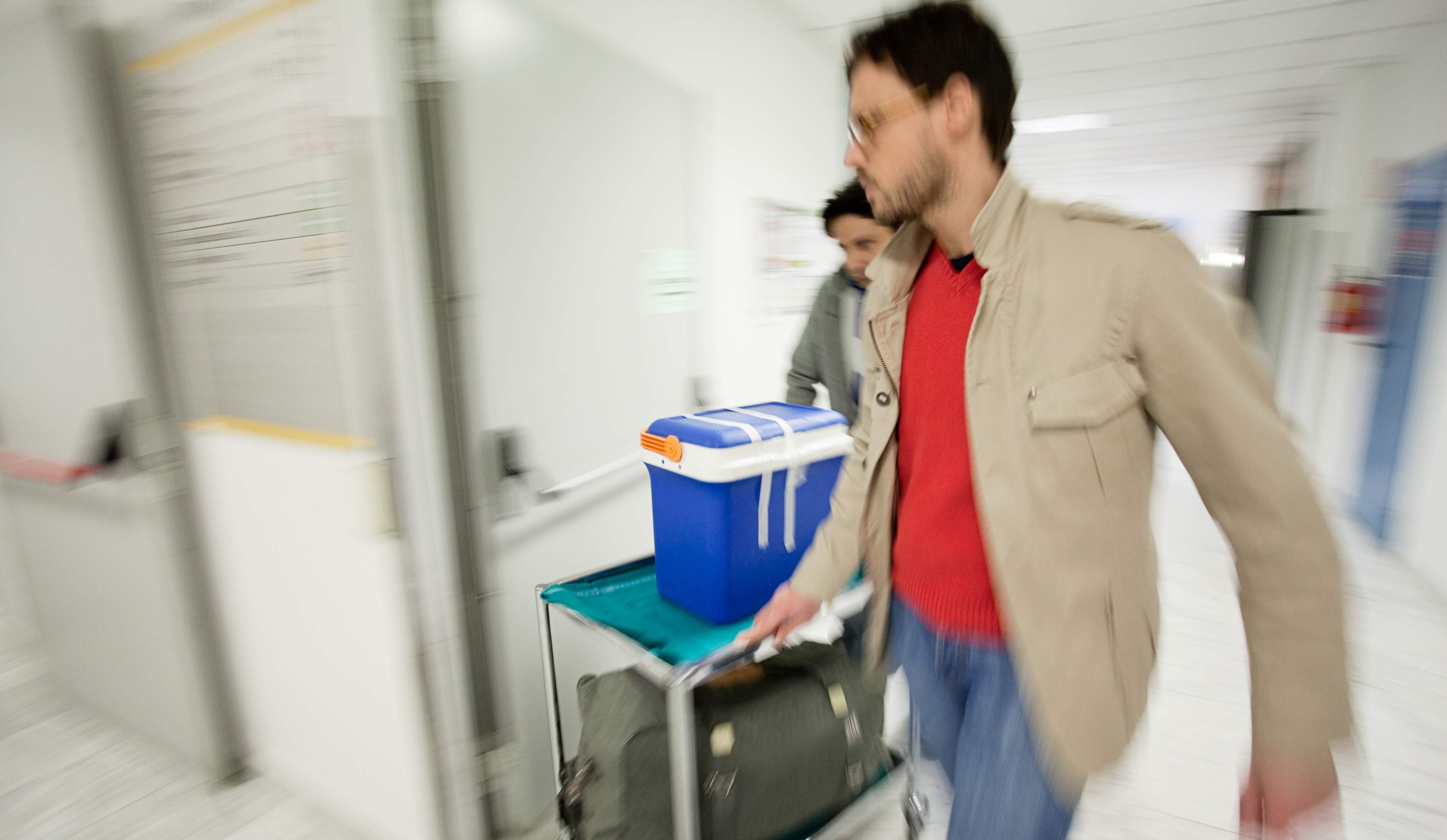 Trasporto del cuore Trasporto del cuore