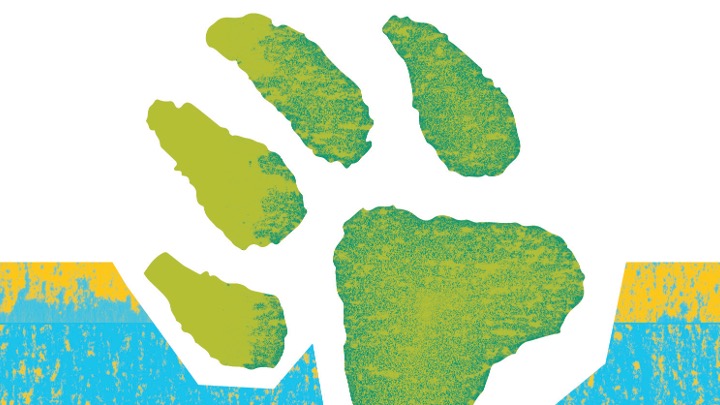 disegno zampa verde