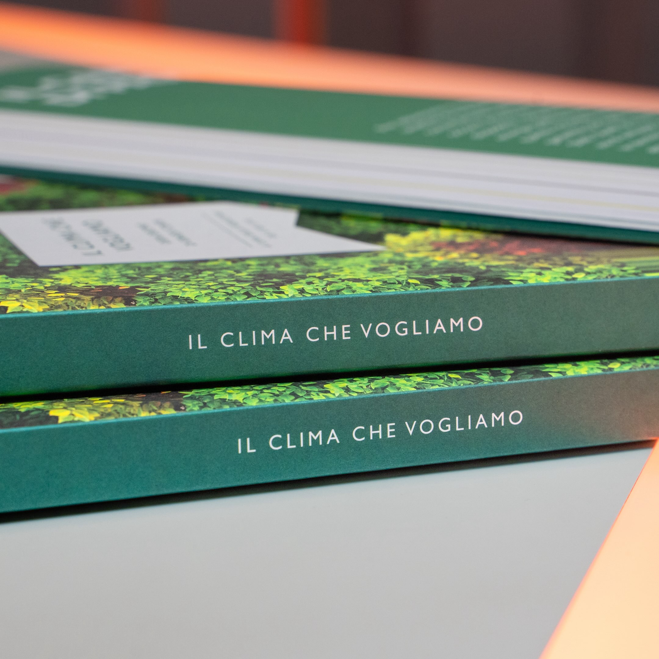Il clima che vogliamo