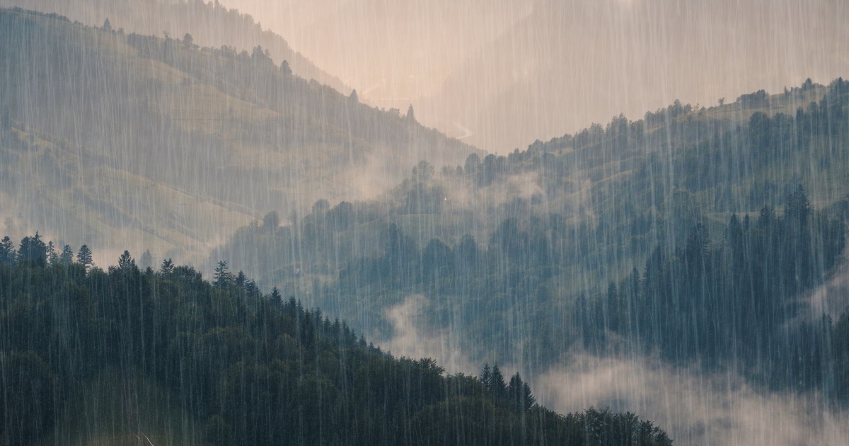Alpi temporali