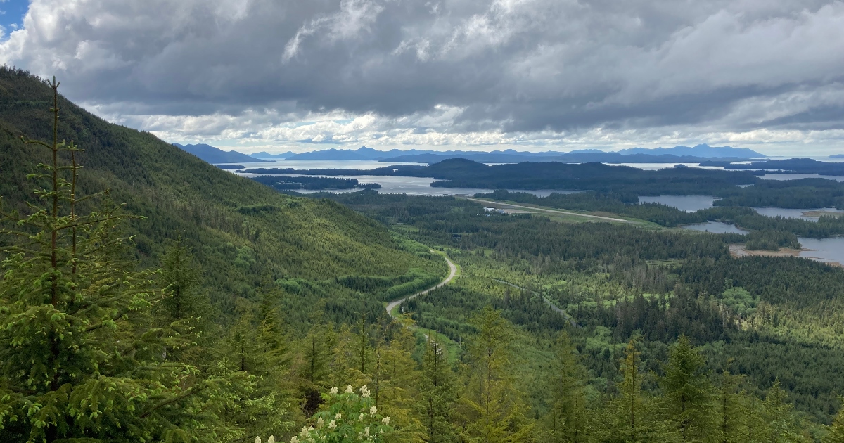 Alaska, Foresta Nazionale di Tongass Alaska, Foresta Nazionale di Tongass