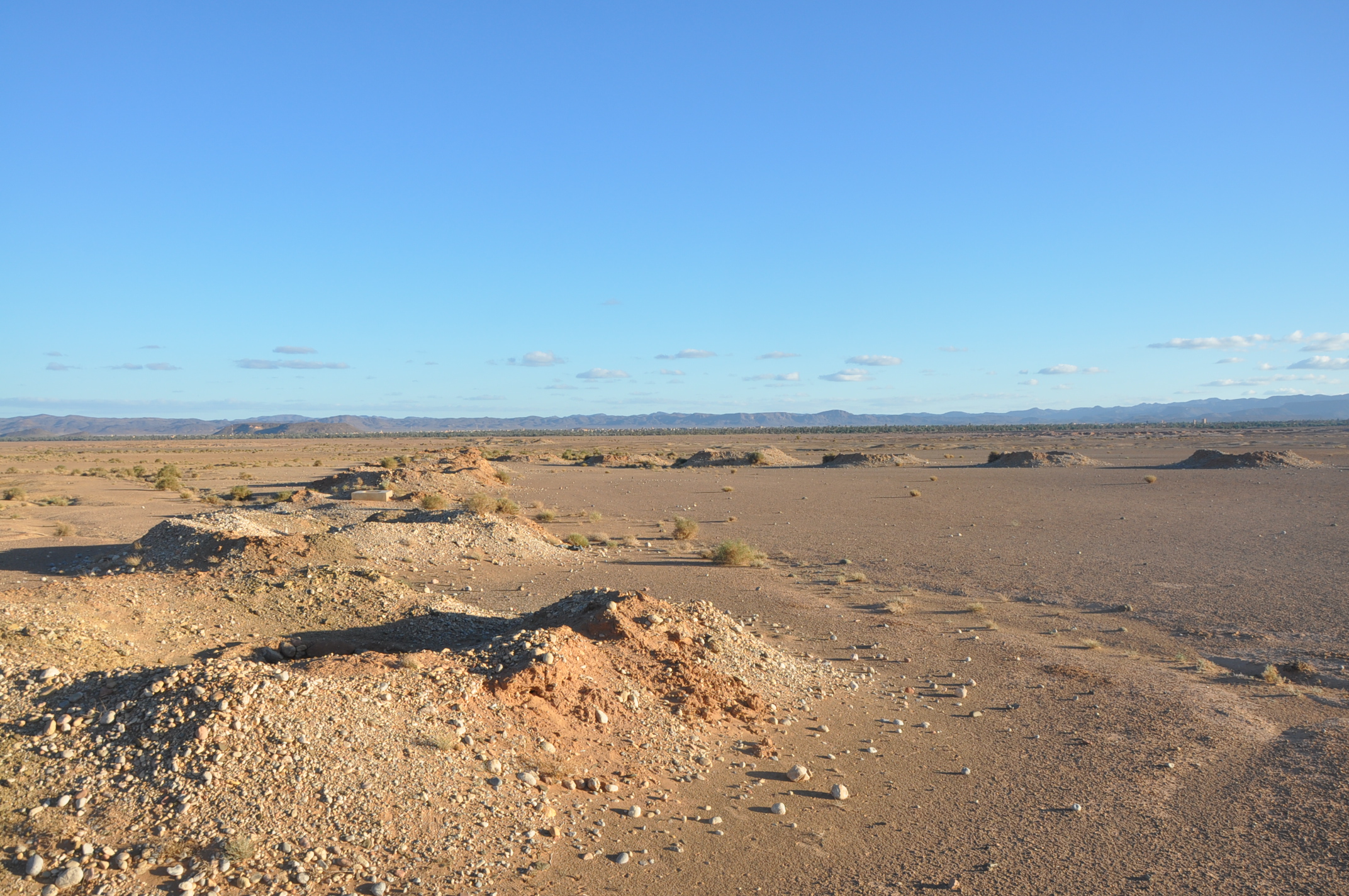 oasi di Ferkla, Marocco